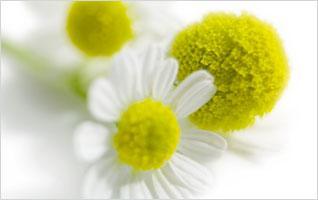 Les remèdes de nos Grands-Mères #9