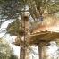 le Domaine des Ormes (35), cabane dans les arbres Tribu