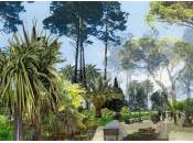 architecte paysagiste revisite plus beaux jardins d’hotels