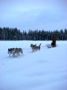 Combien seriez-vous prêts à payer?