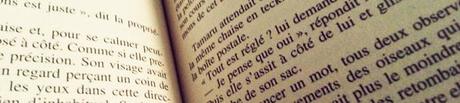 [Littérature] 1Q84 (Avril - Juin) : Les critiques disaient-elles vrai?