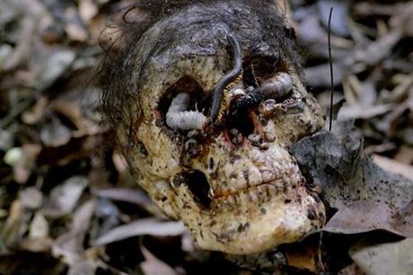 cannibal holocaust Ruggero Deodato1980 crâne vers de terre