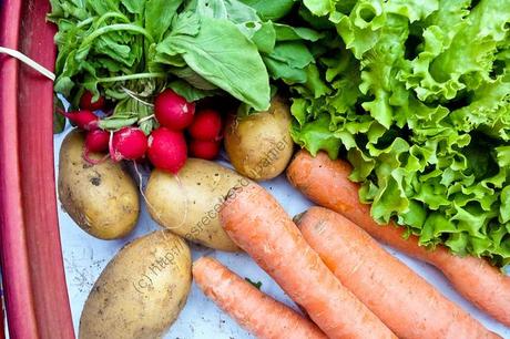 Panier semaine 20 / Basket Week 20