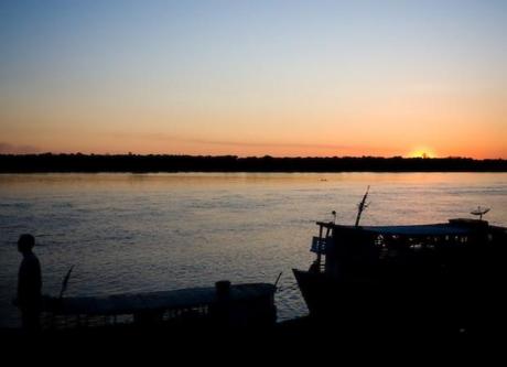 Brésil_Madeira_photo_Paulo_Fehlauer