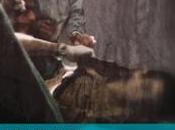 VIDEO soins santé danger coût humain