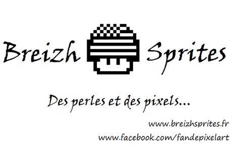 Des perles et des pixels made in BZH !