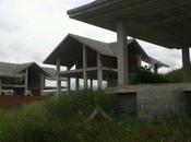 C’est crise Elise!