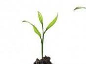 Quel moment idéal pour faire plan d’affaires