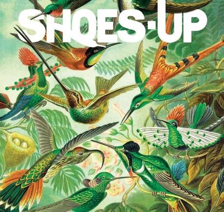 cover_shoesup38