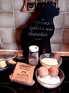 Mini--cakes-au-chocolat-noir.jpg