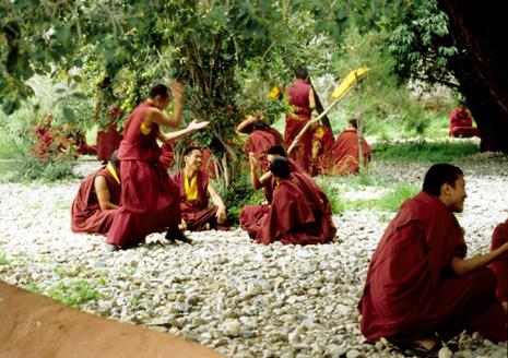 tibet-lhassa-drepung-disputes-moines-2.1208849908.jpg