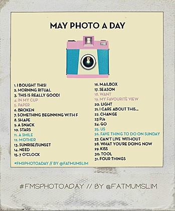 BANNIERE FMS PHOTO A DAY MAY POLA