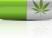 CANNABIS: s'il réduisait risque diabète American Journal Medicine