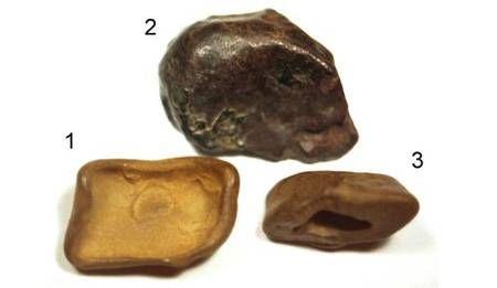 Ces trois pierres trouvées sur le site de l'événement de la Toungouska (Sibérie) auraient une origine extraterrestre. Proviennent-elles d'un corps céleste qui aurait explosé dans l'atmosphère le 30 juin 1908 ?