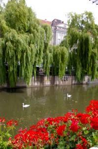 yes35-10-of-1-18-199x300 Ballhaus Clärchens