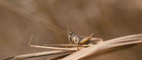 Film Mystère 89 indice 2.2