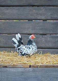 Du 31 mai au 2 juin 2013, participez au festival d'animations pour les enfants au Jardins Jardin aux Tuileries.