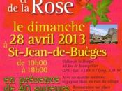 Sant Jordi Fête Livre Rose, Saint Jean Buèges, Avril, véritable réussite.