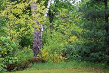 c genet gb 17 mai 2013 098.jpg