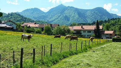 Belles promenades en Bavière: Eschenlohe et l'Osterfeuerspitze (3)