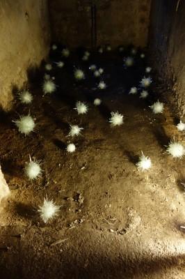 « morceaux choisis » Jeune Art Contemporain