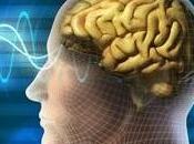 Stimulation cérébrale: Elle peut faire vous fort maths Current Biology