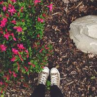 Les Photos du Dimanche #72