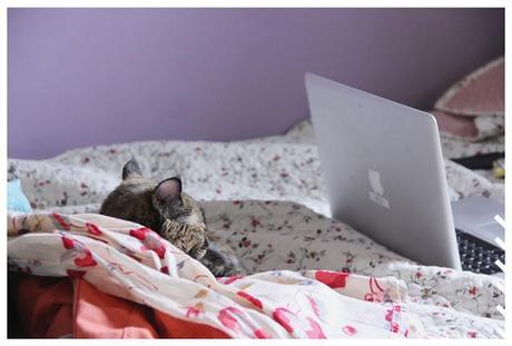 Les Photos du Dimanche #72 Les Photos du Dimanche #72