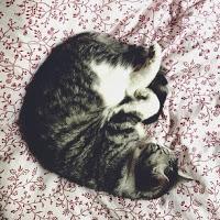 Les Photos du Dimanche #72 Les Photos du Dimanche #72