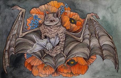 Caitlin-Hackett_web13