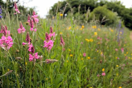 Promenades pour temps de pluie