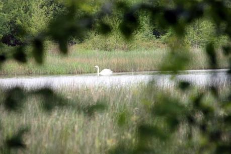 Promenades pour temps de pluie