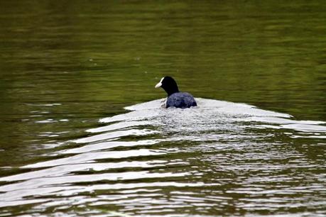 Promenades pour temps de pluie