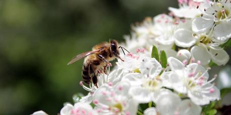 Promenades pour temps de pluie