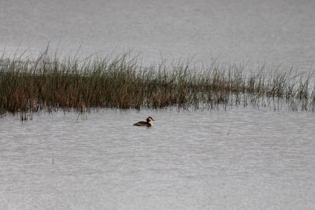 Promenades pour temps de pluie