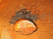 Découverte poches d'eau d'au moins milliard d'années