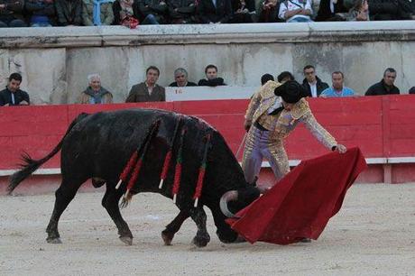 2013-05-19-13-05-19-NIMES-CHICOT-479