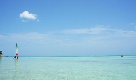 anteketborka.blogspot.com, paysage55