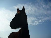 MINIMAL MANIAC #16 Annonce inside !!!!