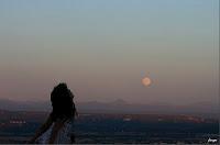 MINIMAL MANIAC #16 Annonce inside !!!!