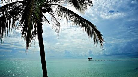 anteketborka.blogspot.com, paysage77