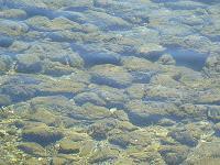 MINIMAL MANIAC #16 Annonce inside !!!!