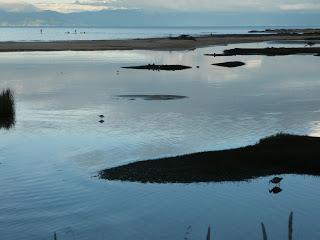 11 | Abel Tasman national park
