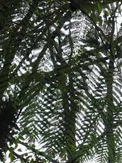 11 | Abel Tasman national park