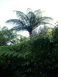 11 | Abel Tasman national park