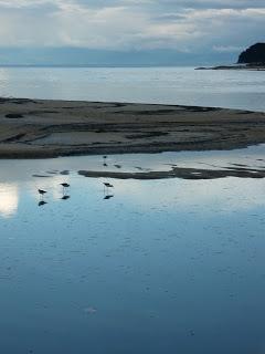 11 | Abel Tasman national park