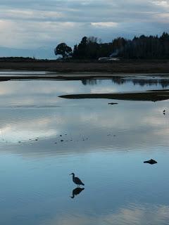 11 | Abel Tasman national park