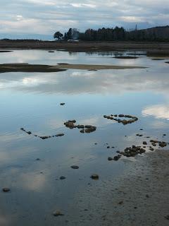 11 | Abel Tasman national park