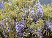 Actualités Scientifiques Médicales: relâche 2013