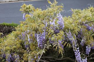 Actualités Scientifiques - Médicales: relâche ce 20 mai 2013